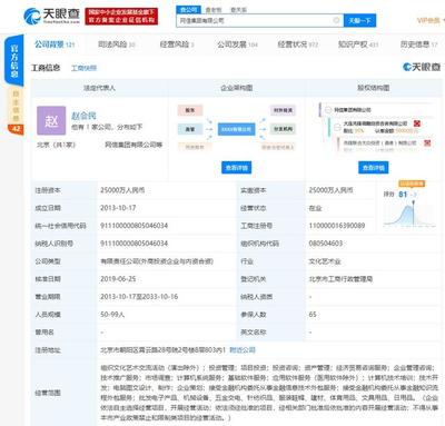 網(wǎng)信集團再生變數(shù) 趙會民被下達限制消費令，金融信息技術(shù)外包服務(wù)受關(guān)注